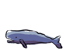 Whale GIF
